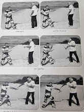 Planche technique historique de boxe française et savate