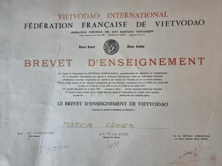 Brevet d'enseignement Vietvodao, Fédération française de Vietvodao